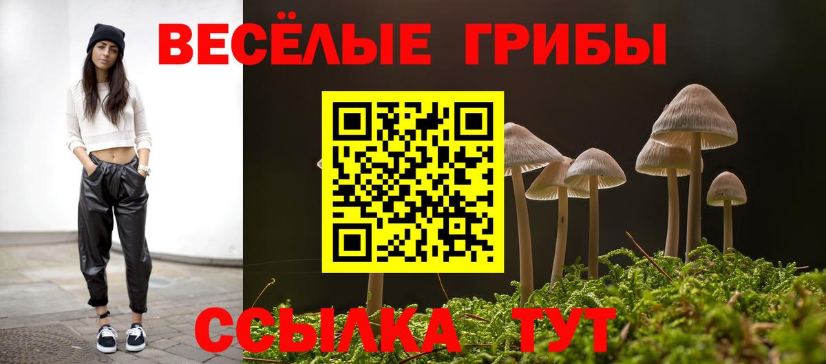 Галлюциногенные грибы Magic Shrooms  Вход с VPN  Псилоцибиновые грибы мухоморы  Осинники 